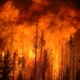 Image of a large forest fire.